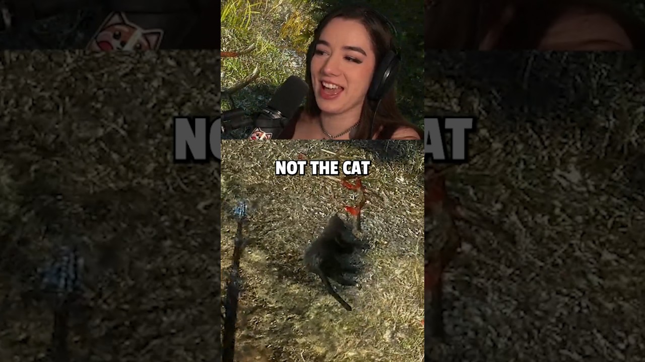 Not the cat! #thewitcher2assassinsofkings