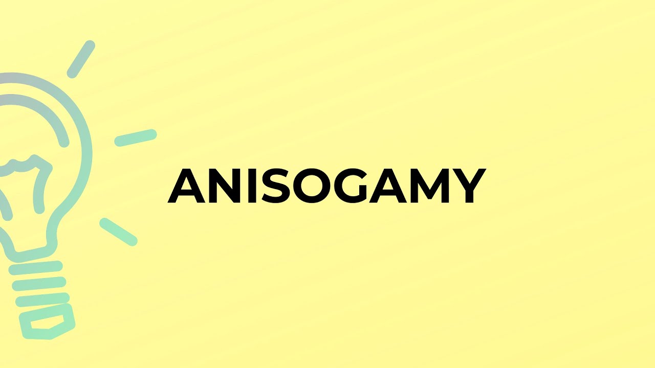 What is the meaning of the word ANISOGAMY?