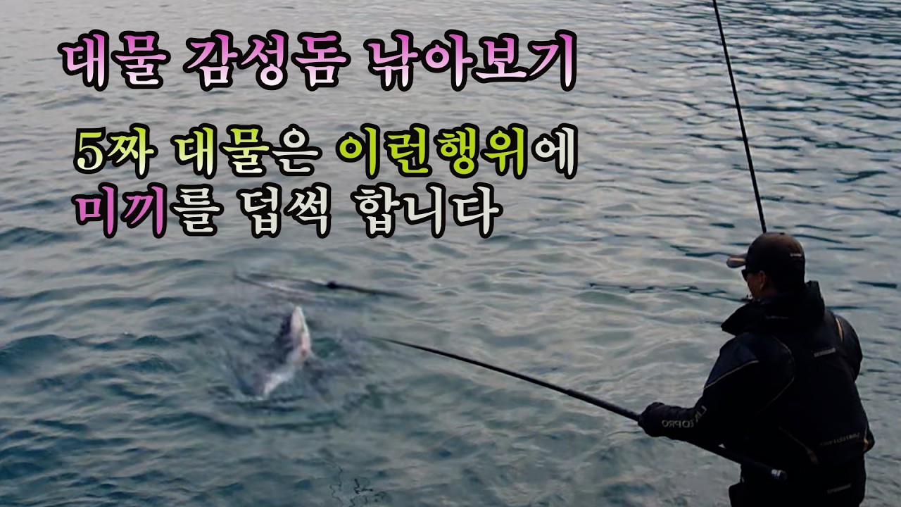 조류가 멈출때 이런 행위는 ?초대물 감성돔을 부른다 지금은 5짜 감성돔을 잡을수 있는 절호의 기회