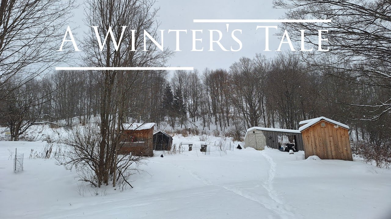 A Winter's Tale