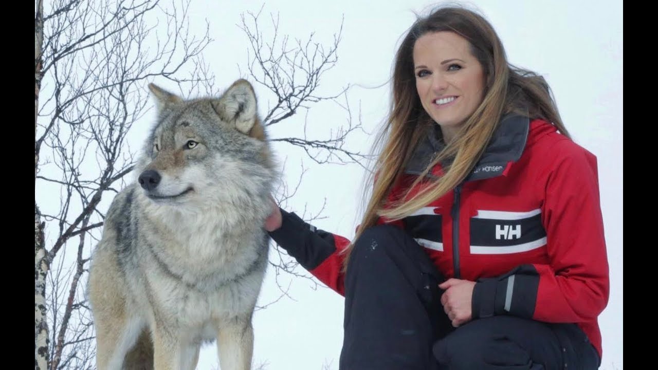 Walking with Wolves in Norway