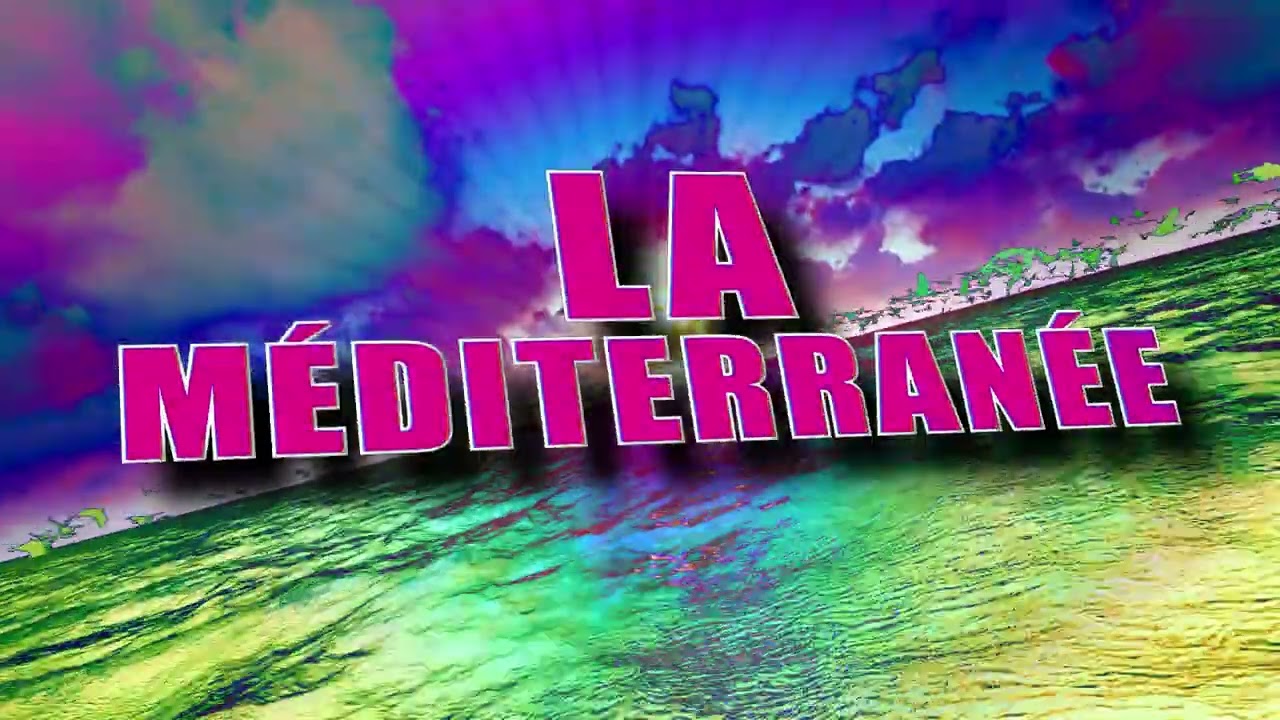 Collectif Métissé - Le Chasseur ( Les Oies Sauvages) Le Lyric clip
