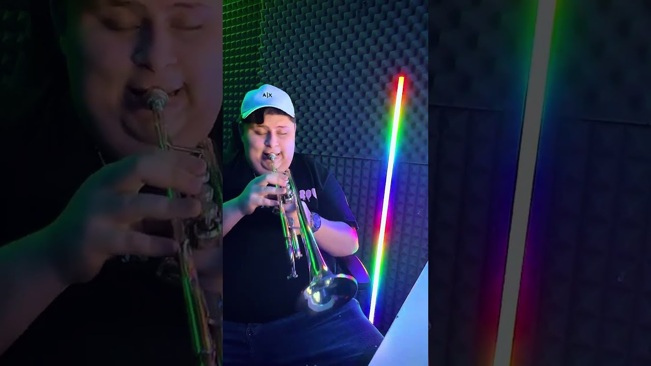 Denis Alu Romanescu , Hora lui Dumitru de la toflea - Taraful cantea cover! 