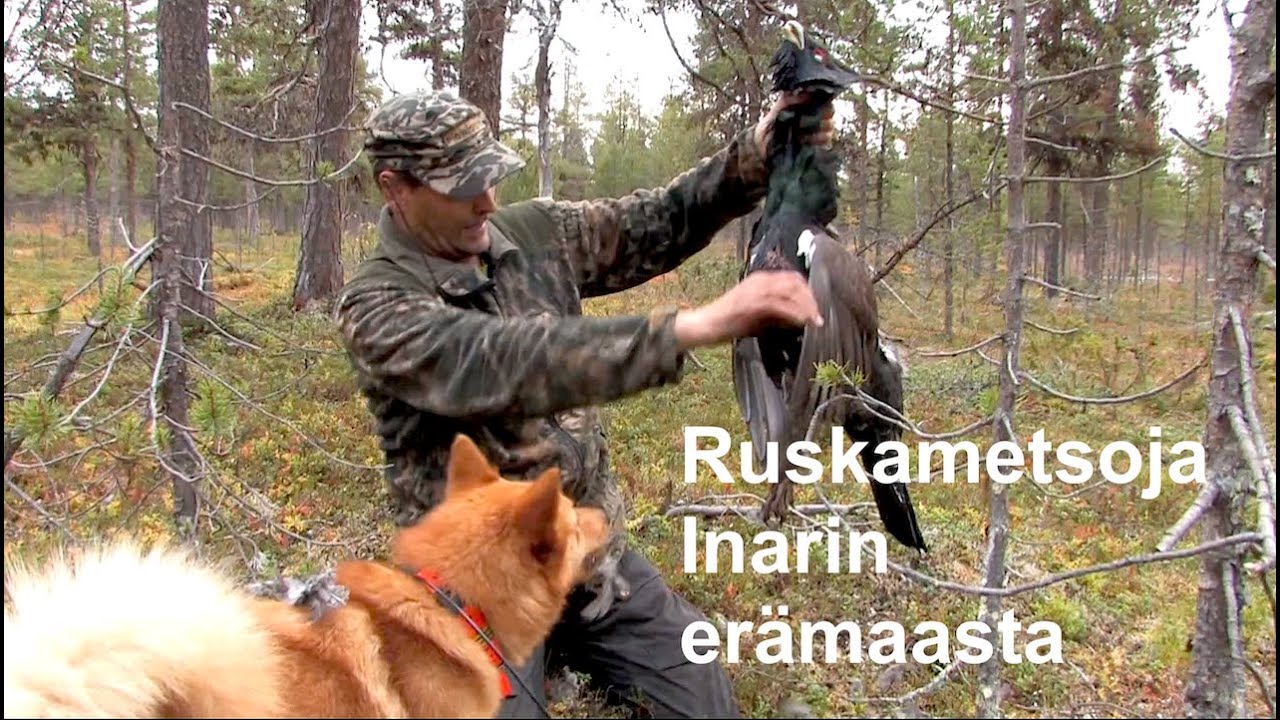 Ruskametsoja Inarin erämaasta/Elokuva sadan kilometrin metsästysvaelluksesta (2015)