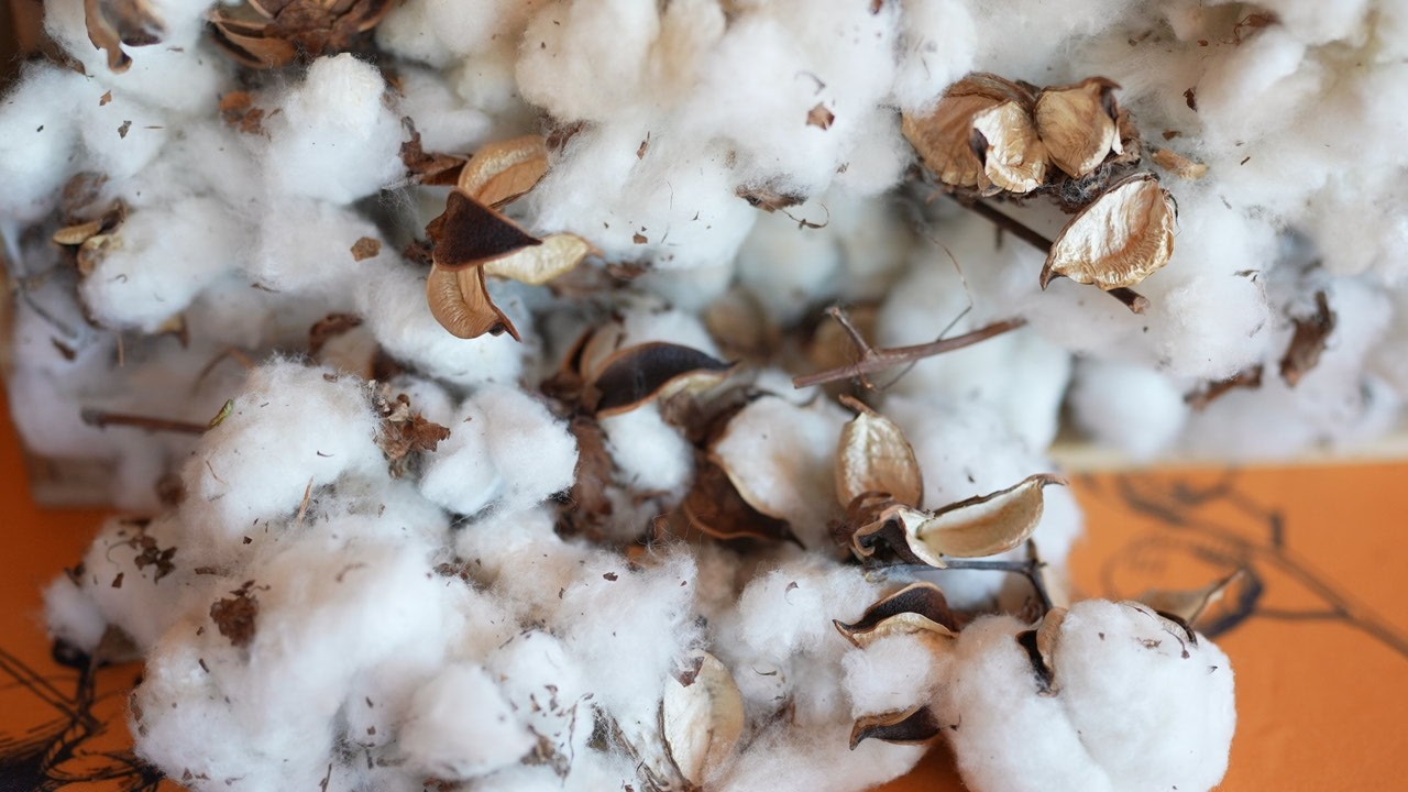 Woven From Nature: a short documentary by bftn