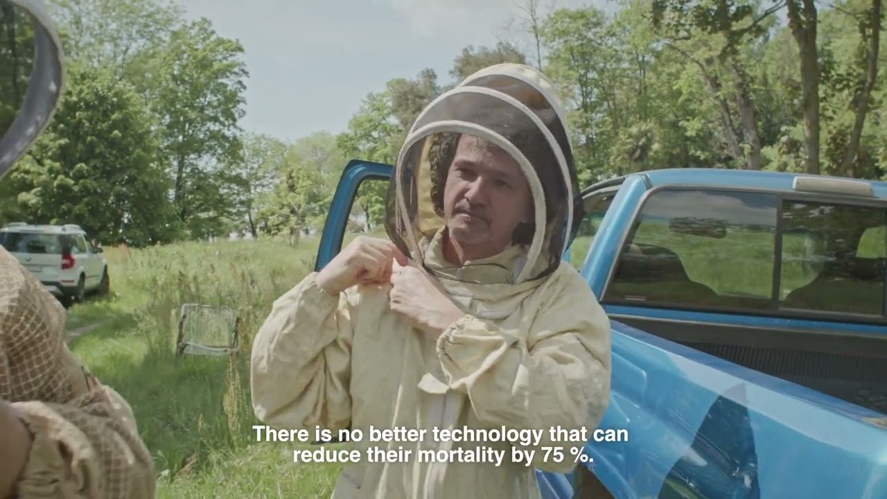 Primal Bee - our story