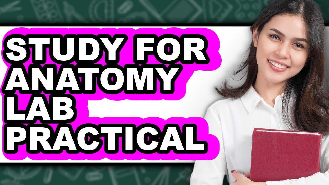 How to Study for Anatomy Lab Practical (only Way)