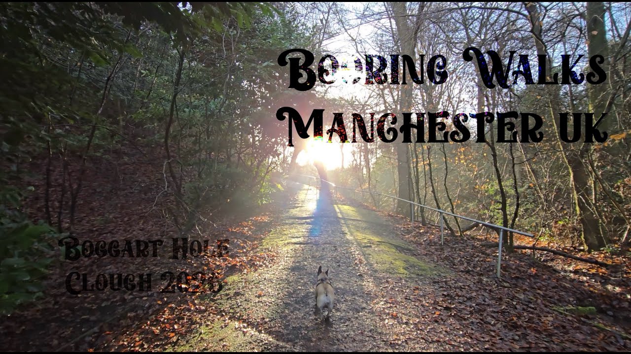 Winter Walk with French Bulldog, Manchester UK 2026