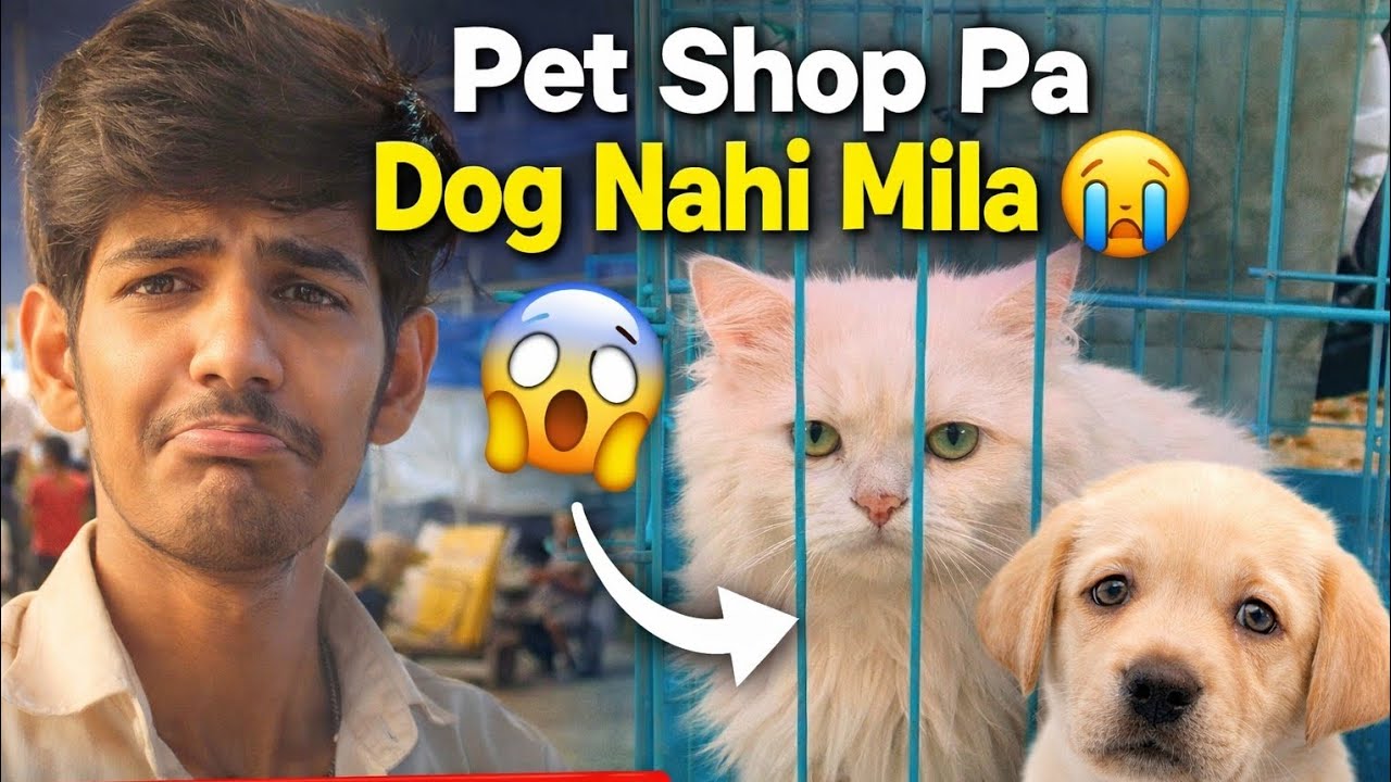 Dog nahi mila shop pa 😢