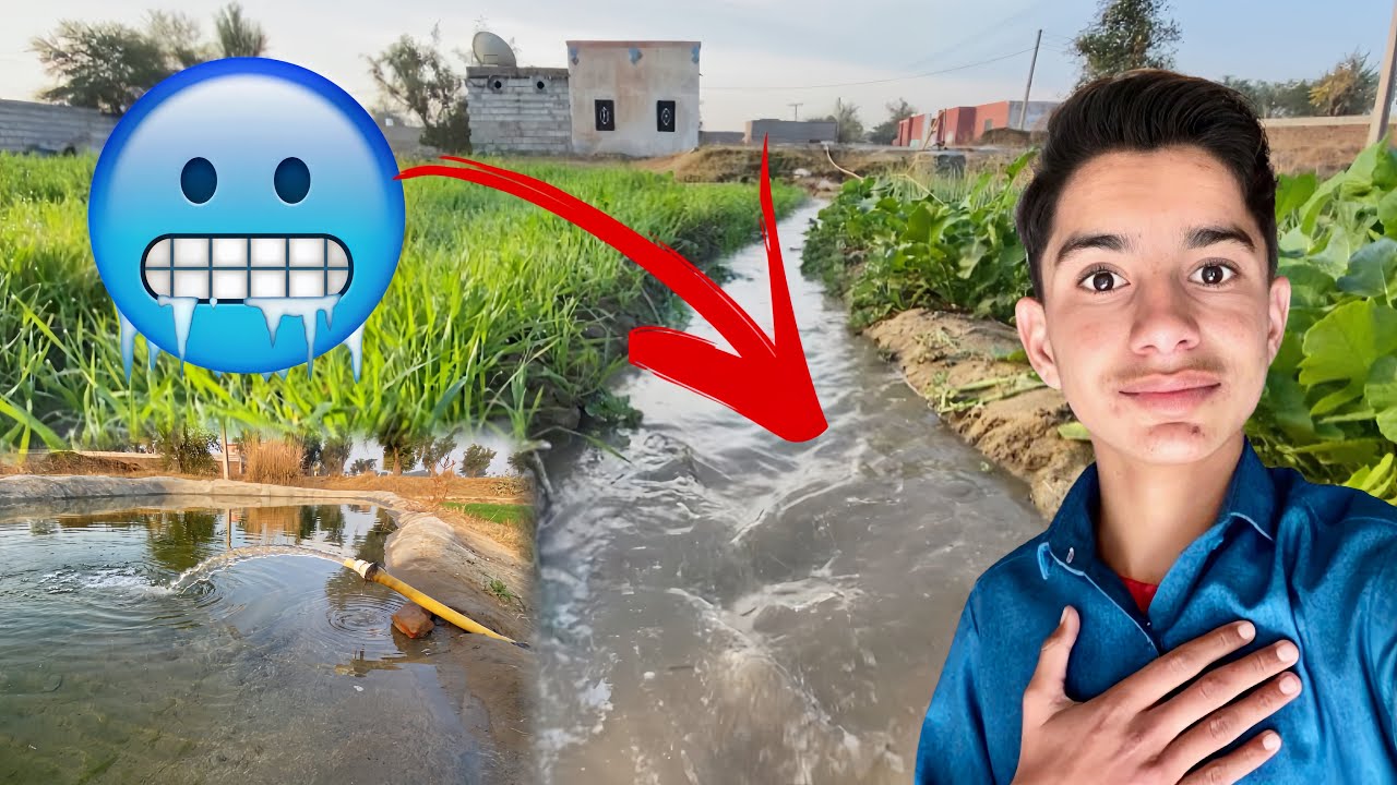 Aaj Subah Subah Sardi Mein Gandum Ko Pani Lagaya 🥶🌴 Village Life Punjabi Vlog 