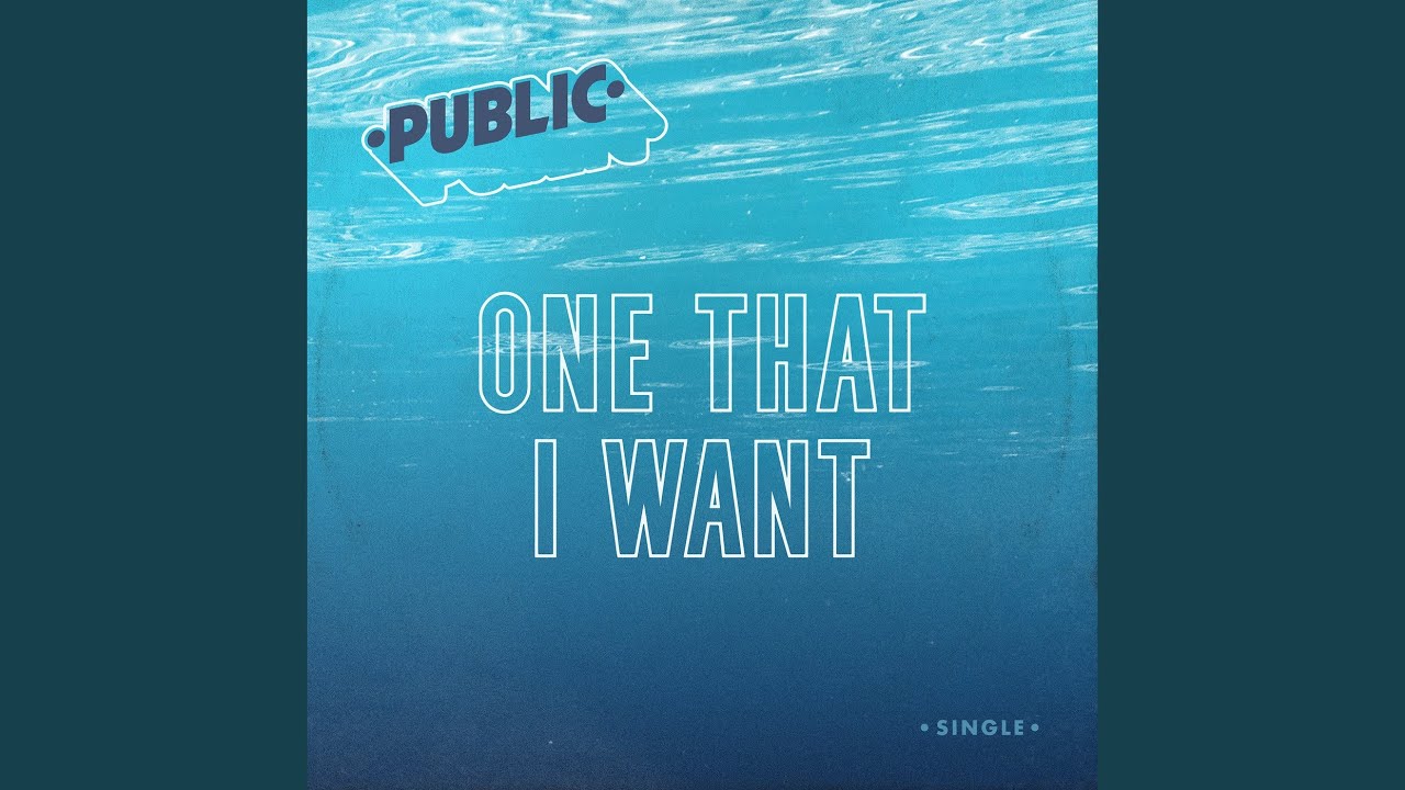 One That I Want