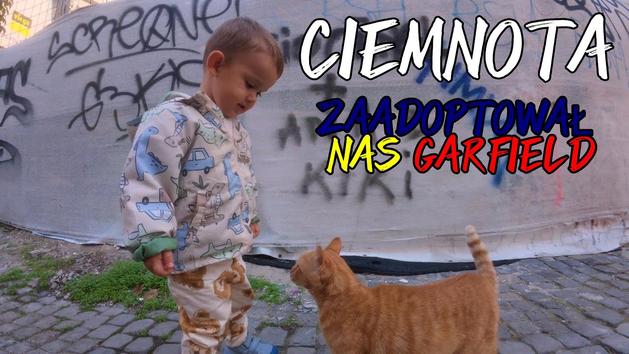 Jestem Ciemnota i nie szanuje kraju mojej żony! Kot Garfield poszedł z nami!