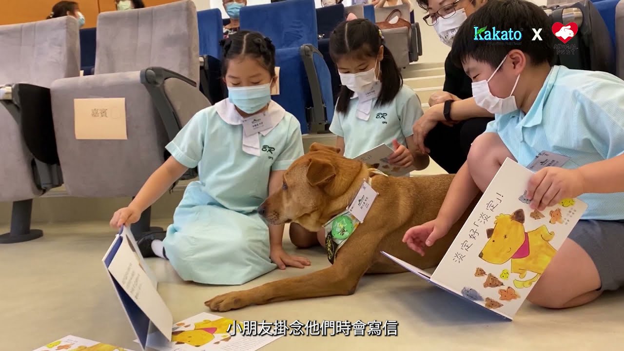 Kakato x《香港動物報》聯合製作視頻：《情常在》狗狗有話兒