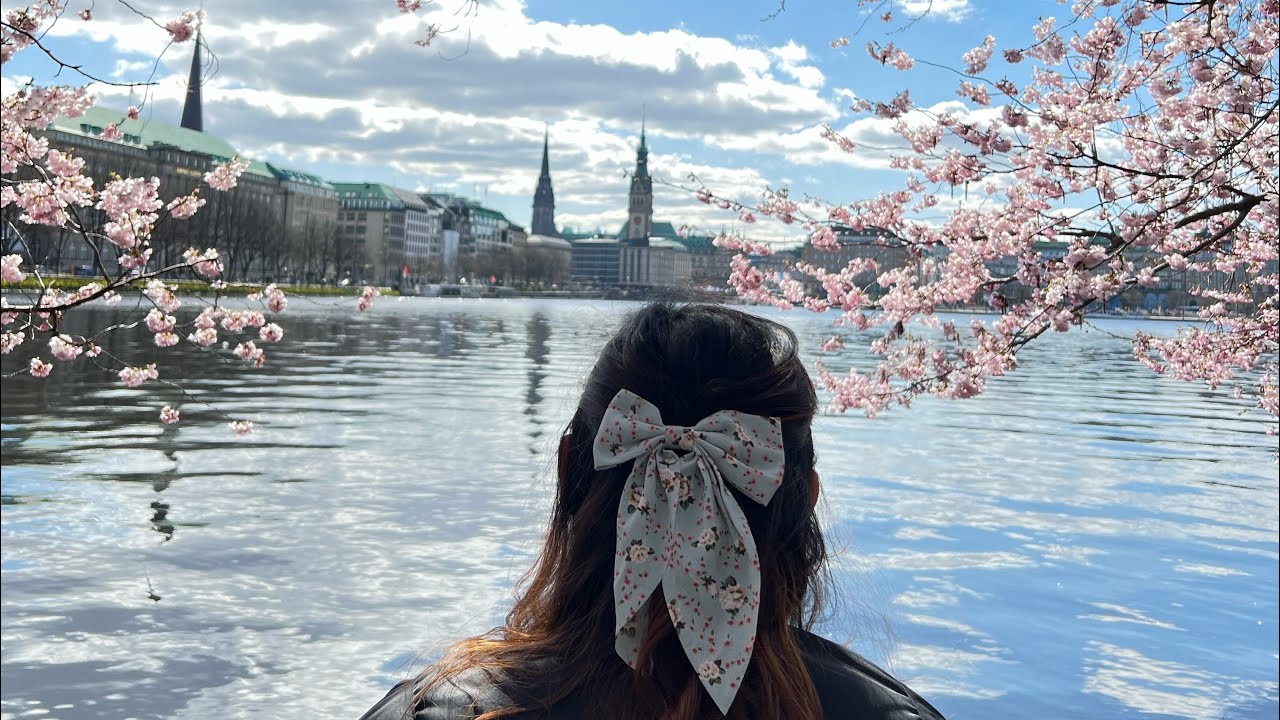 Cherry Blossoms in Hamburg🌸