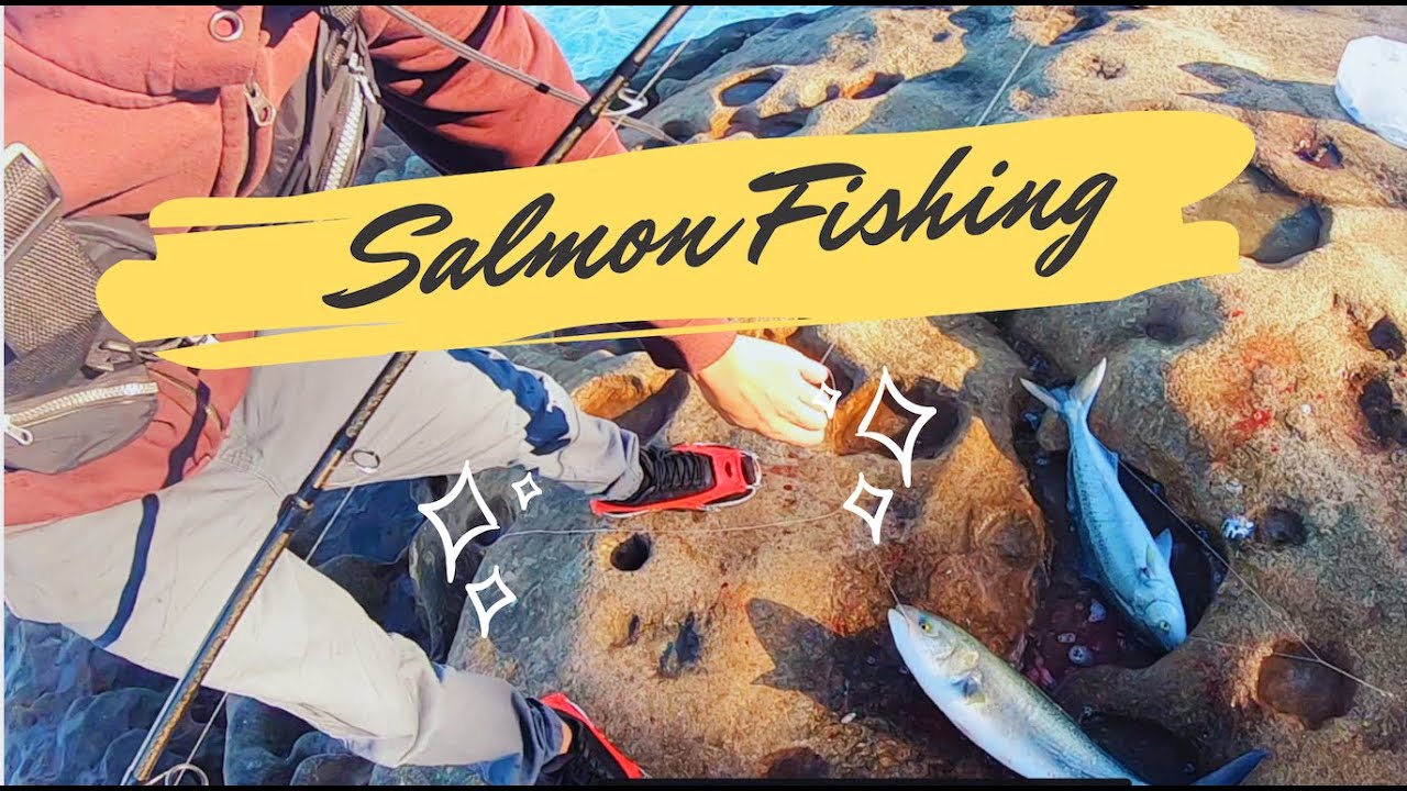 Best rock fishing spot in Sydney