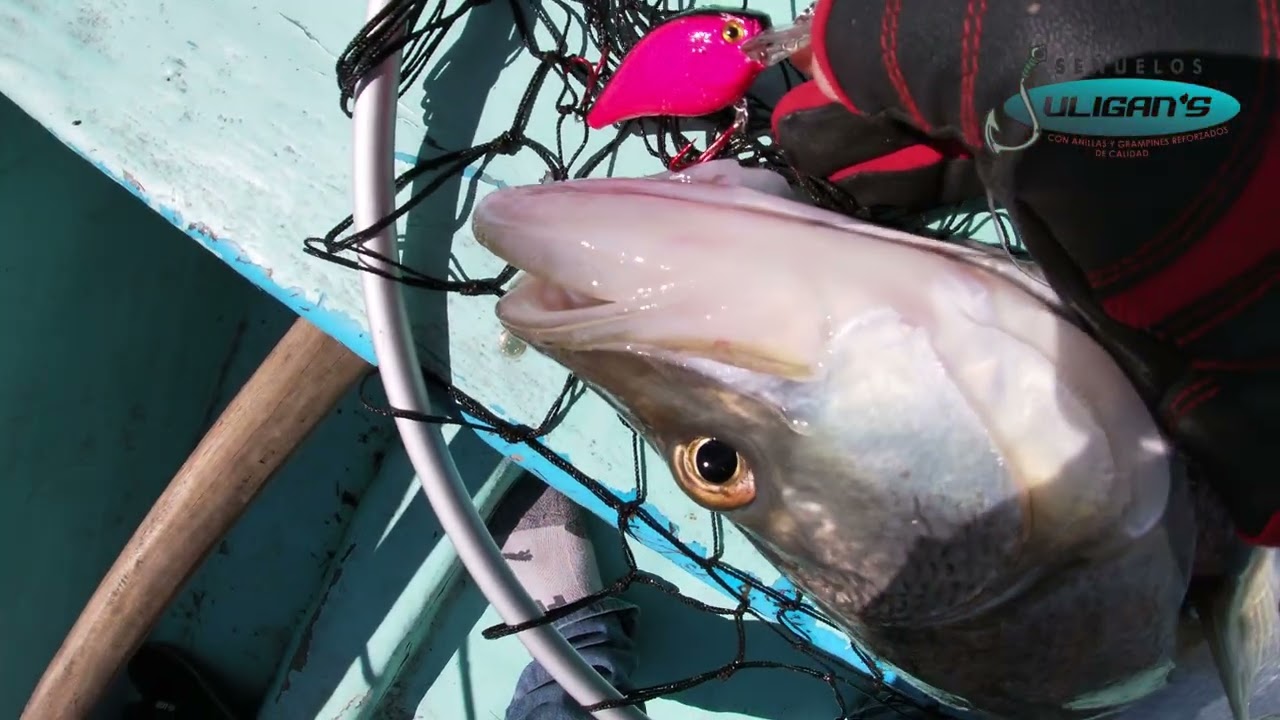 PESCA DE ROBALO EN FRONTERA TABASCO