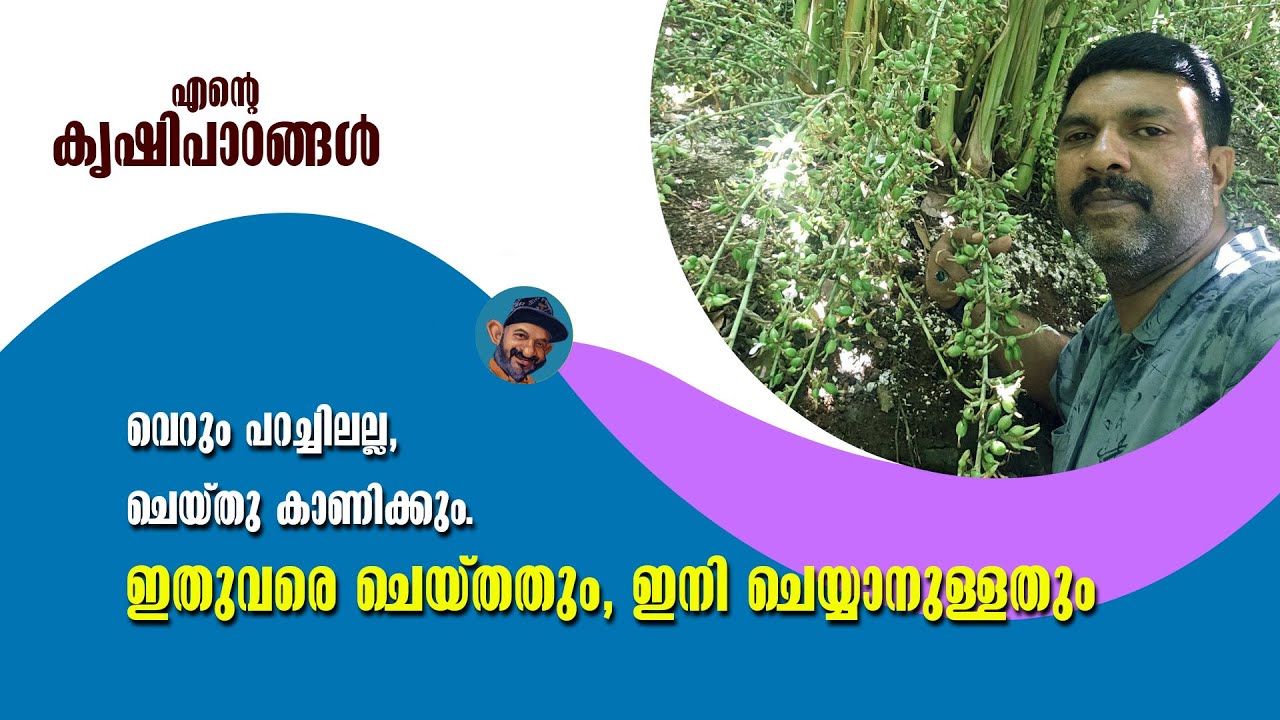 ഇതല്ലേ നമുക്കും വേണ്ടത് - വെറും പറച്ചിലല്ലന്നേ...