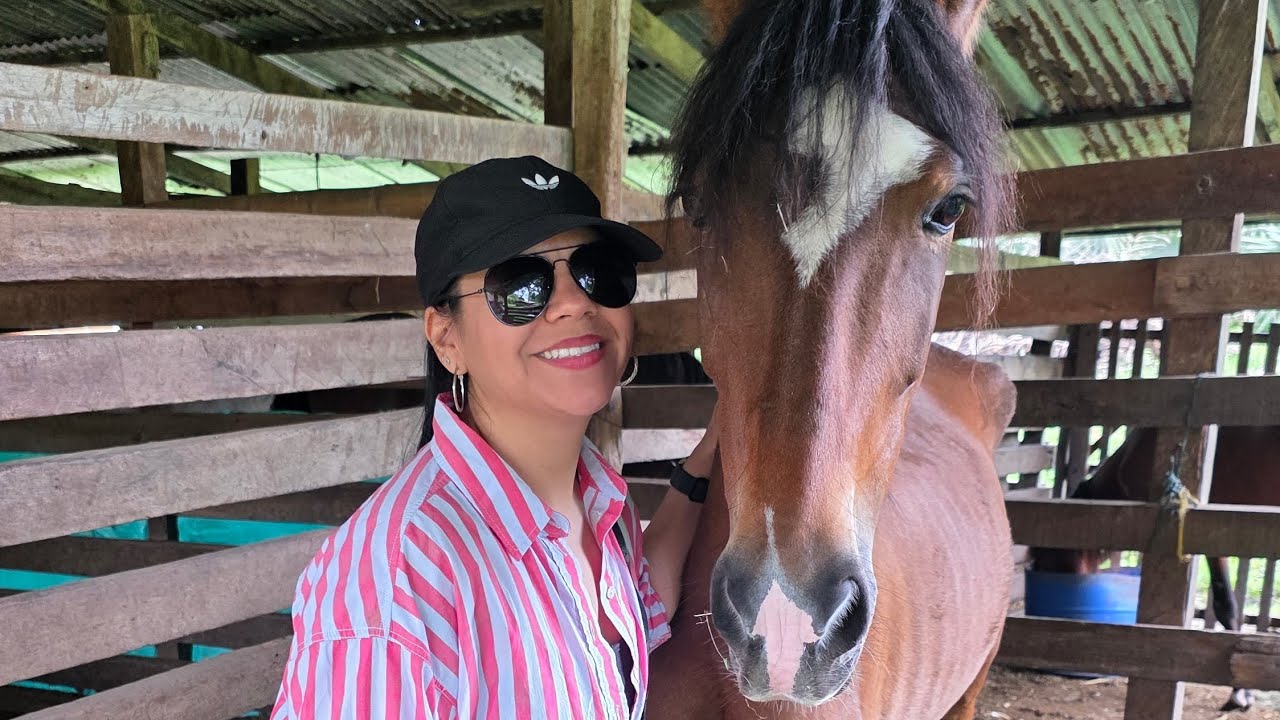 El caballo como espejo del alma: experiencia terapéutica en tierra