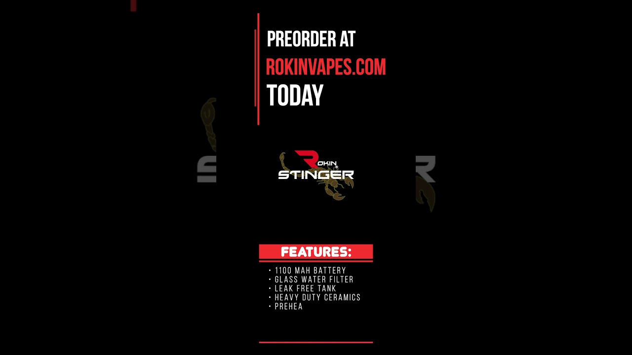 Rokin Stinger 2