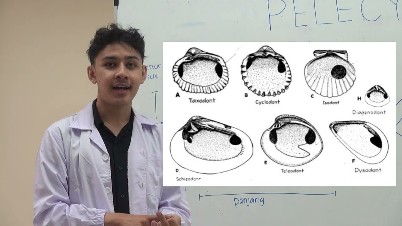 Praktikum Pelecypoda