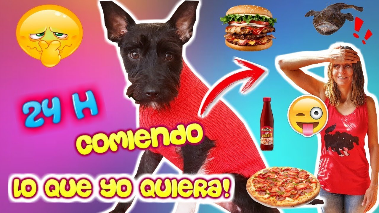 24 Horas MI PERRO ELIGE LO QUE COMERÉ durante todo el día / Retos Lana