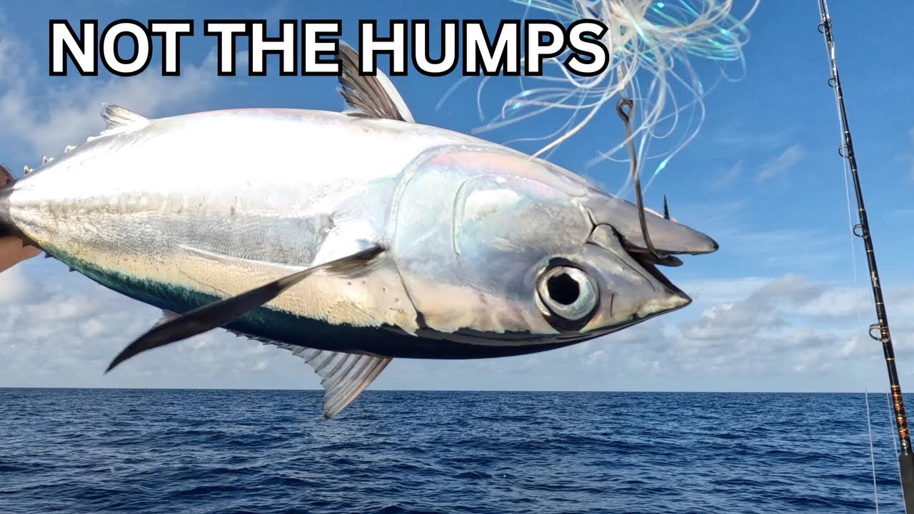 Catching Tuna WITHOUT the Humps | How to Find & Stay on Them