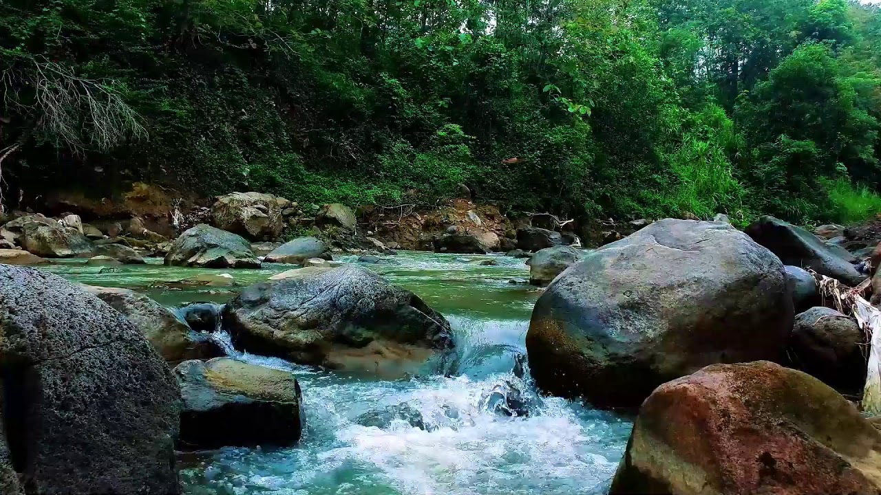 White Noise for Studying Nature – Soft Forest Stream to Improve Concentration