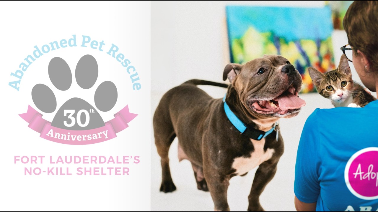 About Abandoned Pet Rescue