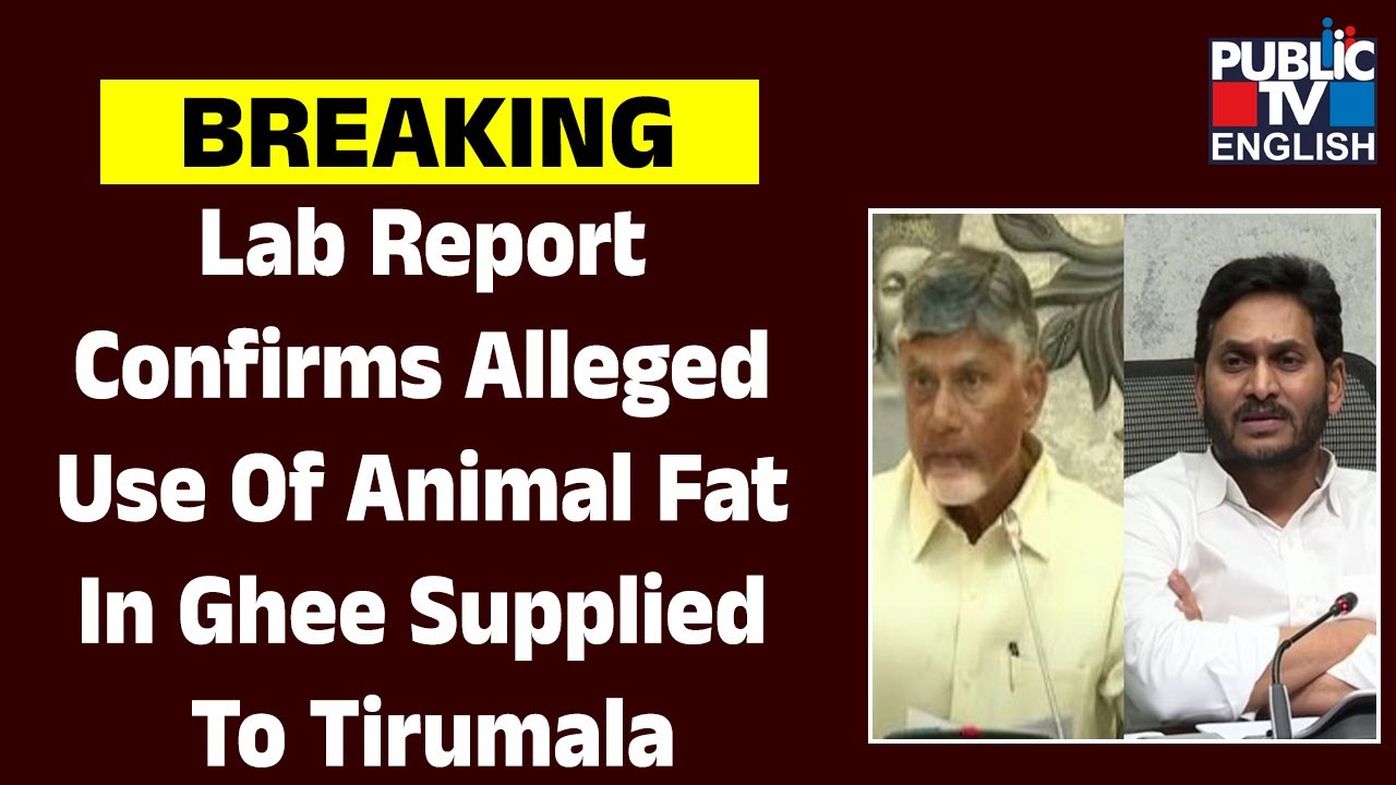 Lab Report Confirms Alleged Use Of Animal Fat In Ghee Supplied To Tirumala | Public TV English