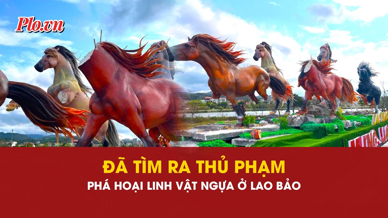 Quảng Trị: Công an thông tin về người phá hoại linh vật ngựa ở Lao Bảo- PLO