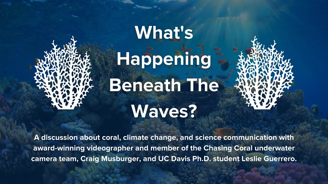 Coral, Climate Change, and Science Communication