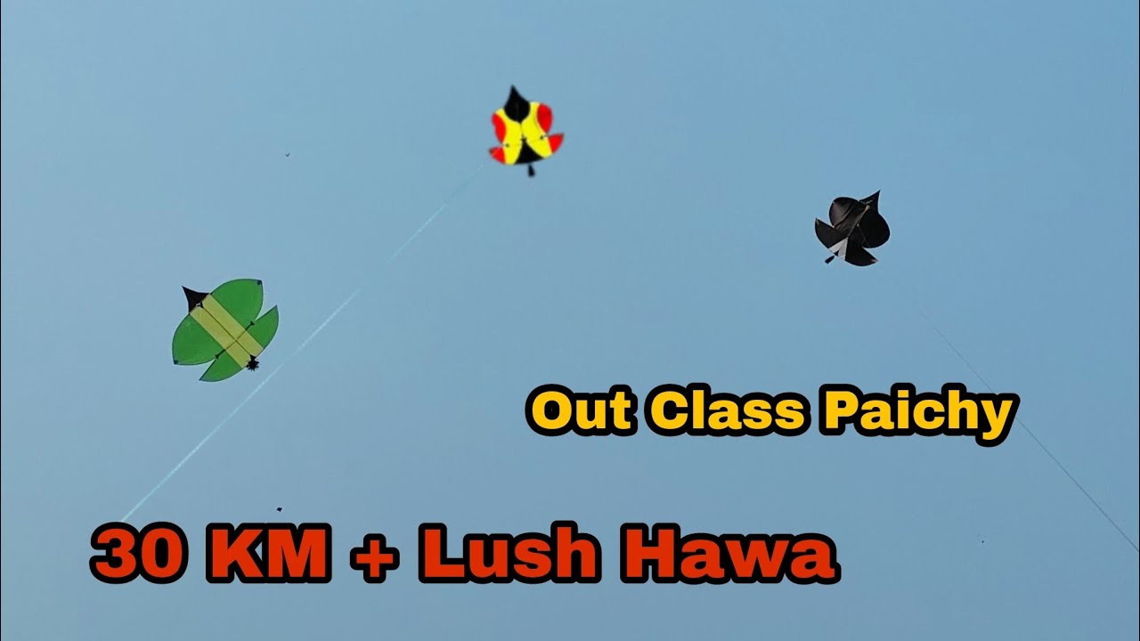 Morning Patang Bazi | 30 KM Full Lush Hawa| Out Class Paichy | Real Kite Flying | Kite Fighting |