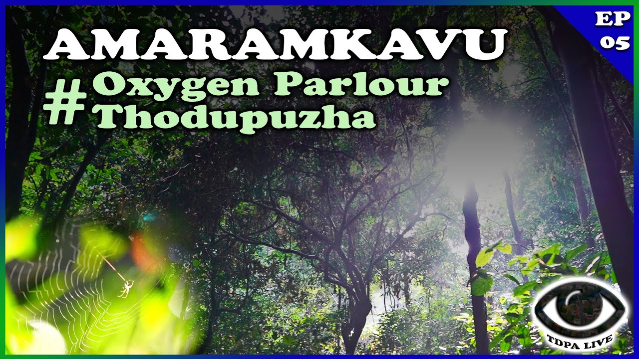 Amaramkavu Thodupuzha | TDPA LIVE