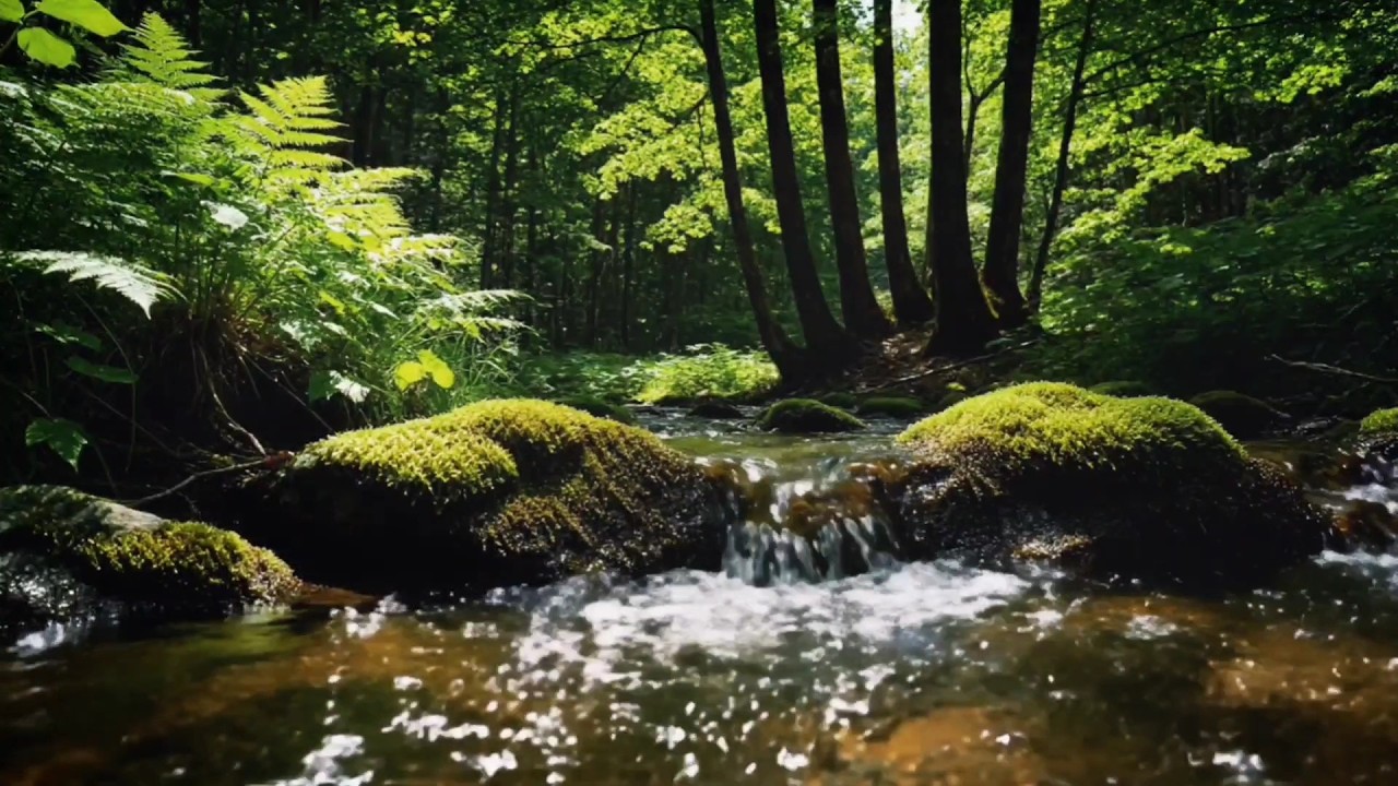 Can’t Relax? Let These Peaceful River Sounds Calm Your Mind & Help You Sleep (No Music)