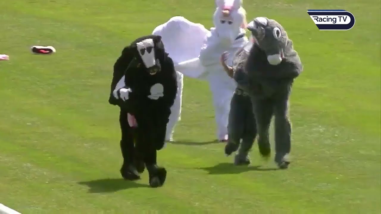 THE GREATEST PANTOMIME HORSE RACE YOU WILL EVER SEE! 🤣