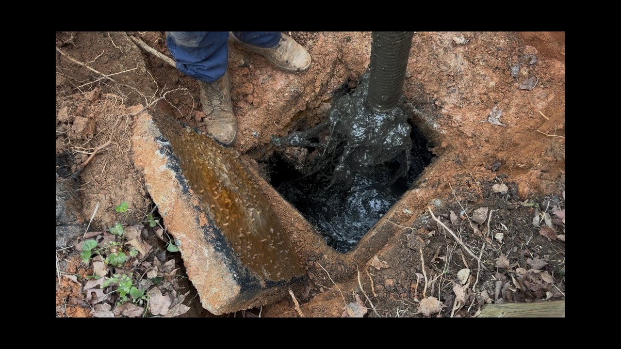 Septic tank under a deck hasn't been pumped in 18 years has a big root in it
