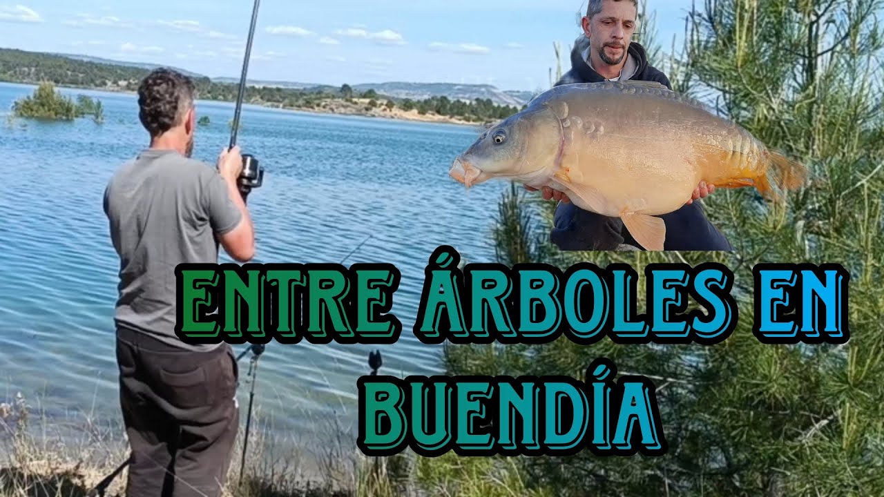 CARPFISHING en BUENDÍA, PESCA de CARPAS y BARBOS 💯🎣