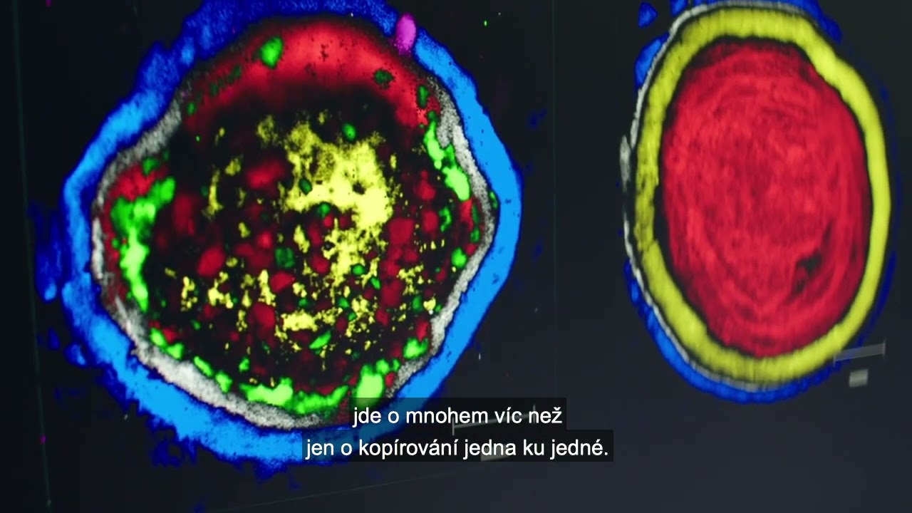Zentiva the R&D centre 2022 #English #Czech