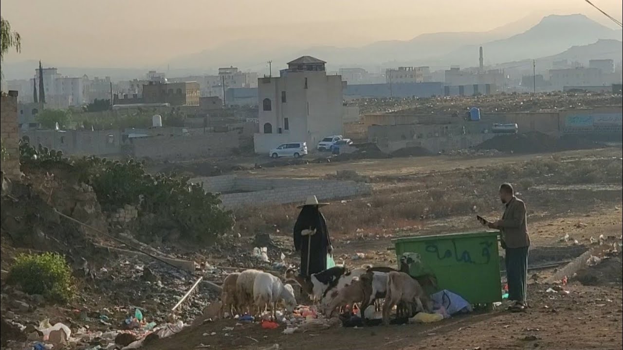 راعية غنم رفضت تقترب مني اسألها في النهاية اكتشفت السبب l ذهبت اسأل غيرها نزلت دموعها l بعد الفجر