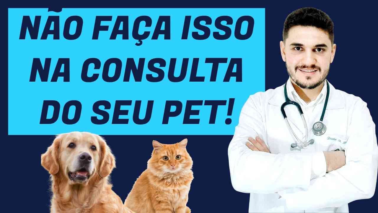6 COISAS PARA NÃO FAZER DURANTE A CONSULTA DO SEU PET