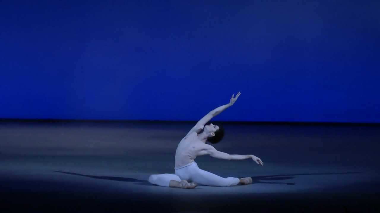 Alexandro Virelles The Dying Swan