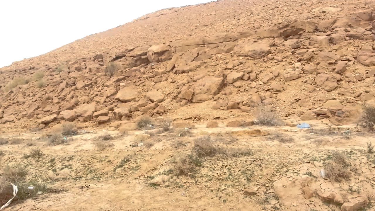 ربابة سليمان العميري
