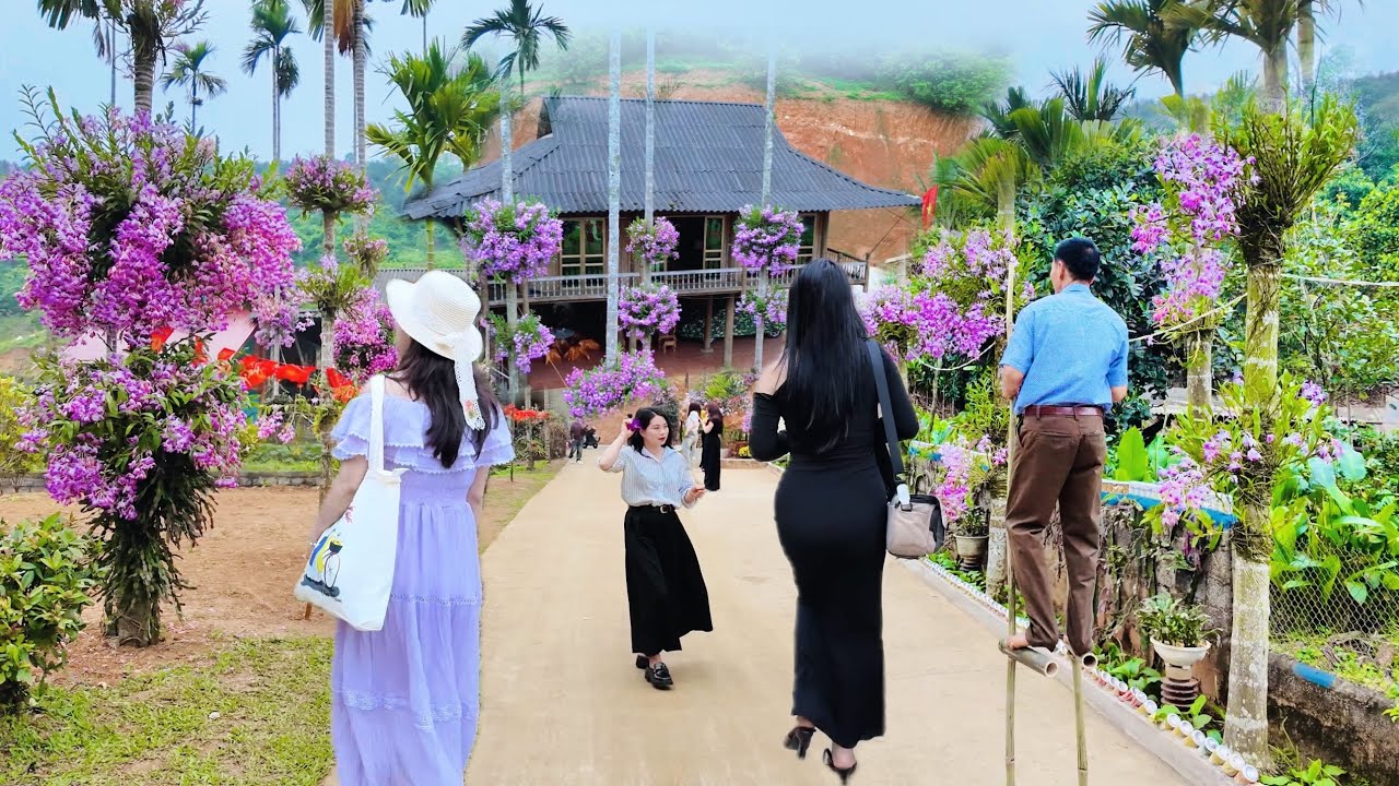 ĐỘC LẠ VIỆT NAM 3 NG&Ocirc;I NH&Agrave; HOA LAN NỞ QUANH NH&Agrave; ĐẸP NHƯ TI&Ecirc;N CẢNH NƠI Đ&Aacute;NG SỐNG KHI VỀ GI&Agrave;