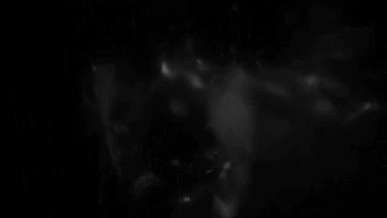 Joel Fausto & Illusion Orchestra - Lost In The Park (Official Video)