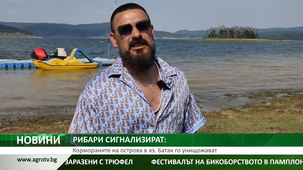РИБАРИ СИГНАЛИЗИРАТ: Кормораните на острова в яз. Батак го унищожават