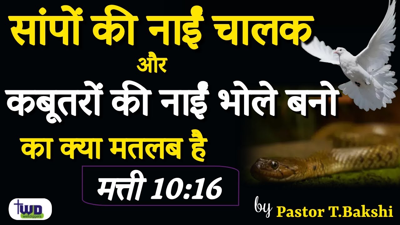 सांपोंकी नाईं चालक  और कबूतरोंकी नाईं भोले बनो का क्या मतलब है?|मत्ती 10:16 | TWD Church Dhariwal