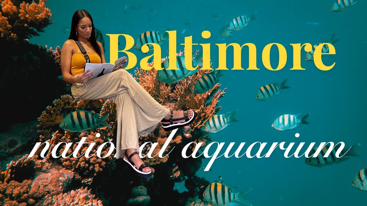 National Aquarium Baltimore Review | Is It Worth Visiting?