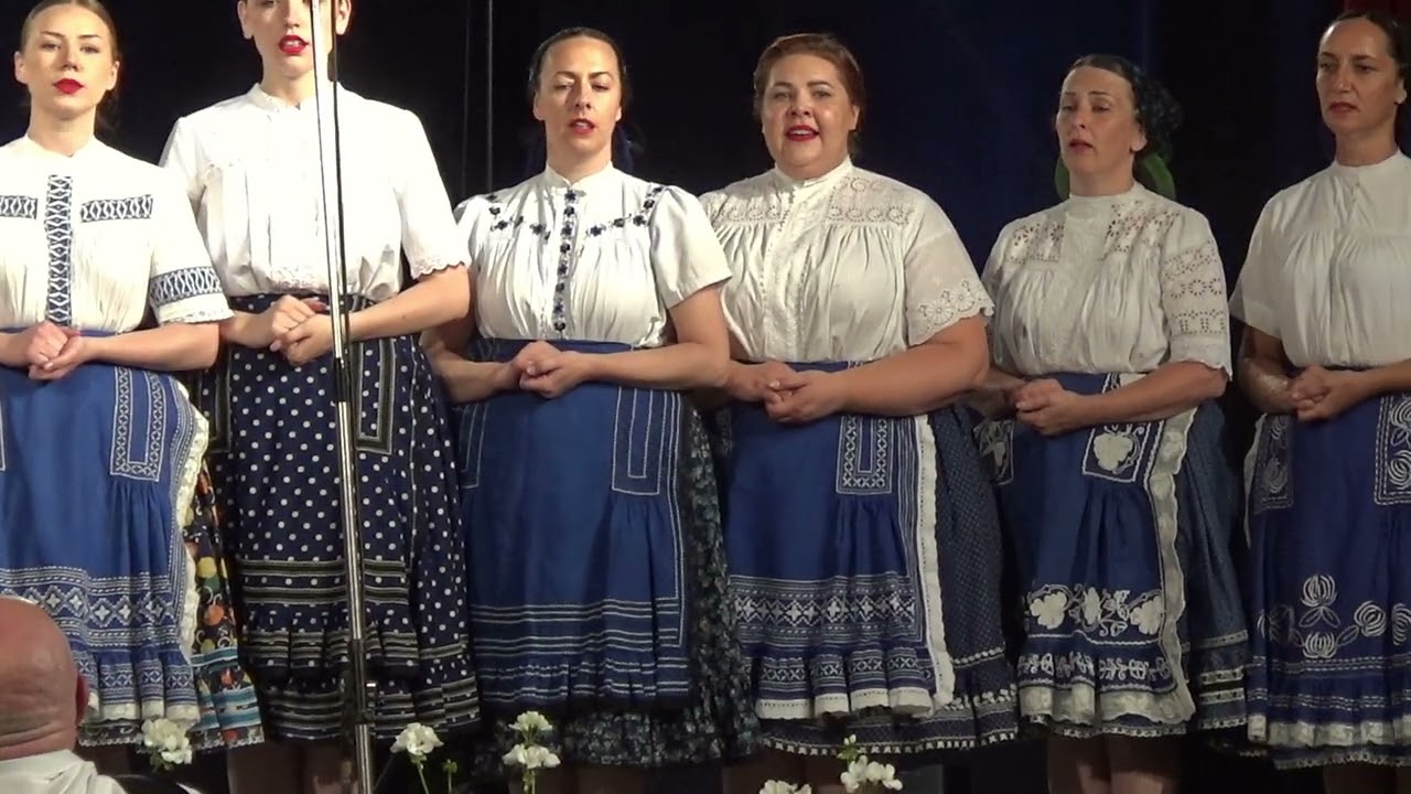 ŽSS FFTT 2025