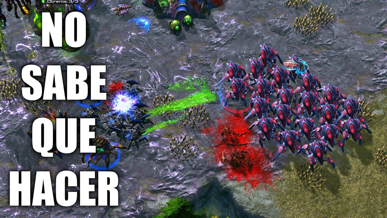 NUEVA BUILD PROTOSS - REYNOR NO SABE QUE HACER - Grupo D HSC