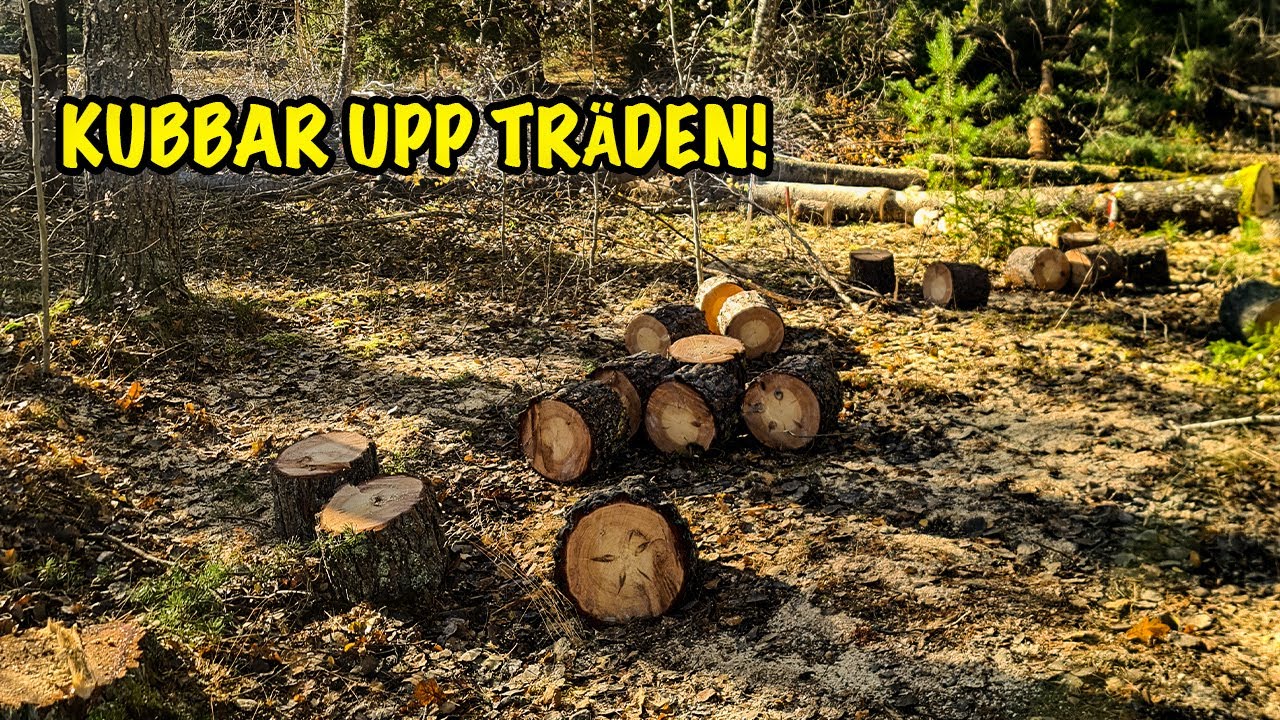 Kubbar upp träden!